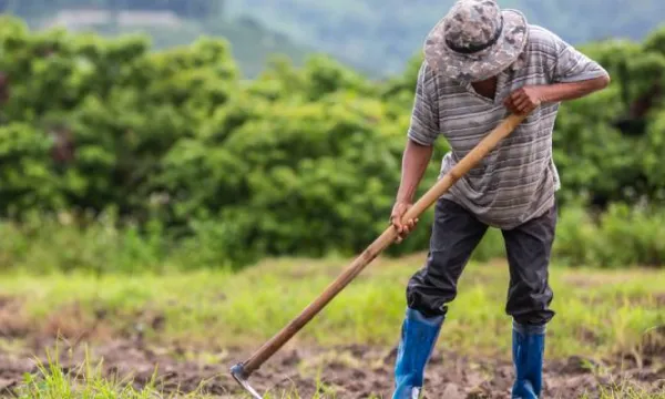 Nulidad sobre compraventa de inmueble al sobrepasar la Unidad Agrícola Familiar (Freepik)