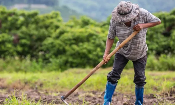 agricultor-pala-cavar-suelo-campos(freepik)