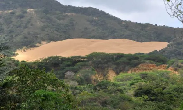 Inexequible decreto que adoptó medidas en materia ambiental y desarrollo sostenible para conjurar crisis de La Guajira (Minambiente)