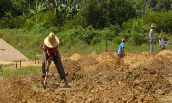 Conceden tutela a víctima de desplazamiento por larga espera en materialización de fallo de restitución de tierras (Alcaldía)