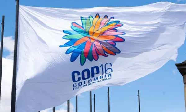 Establecen beneficios tributarios para facilitar y promover realización de la COP16 (Minambiente)