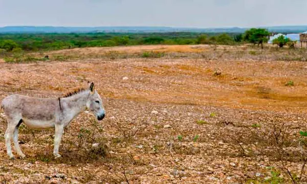 tierra-finca-baldioshutterstock.jpg