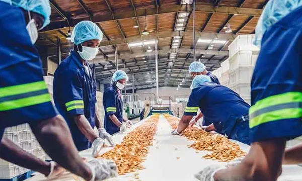 trabajadores-tapabocas-cuidadosgettyimages.jpg