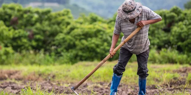 Nulidad sobre compraventa de inmueble al sobrepasar la Unidad Agrícola Familiar (Freepik)