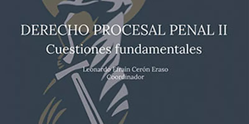 Derecho procesal penal II. Cuestiones fundamentales