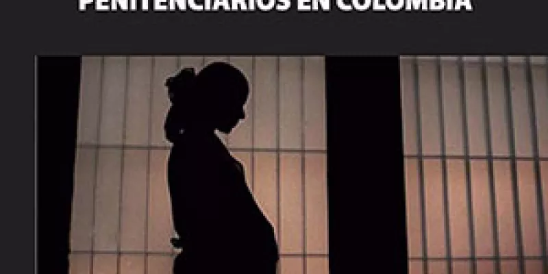 Vulneración de los derechos fundamentales en las mujeres embarazadas recluidas en establecimientos carcelarios de Colombia