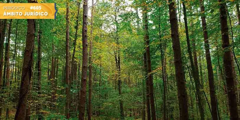 Derecho y cambio climático (III). Necesidad de nuevas reflexiones (Shutterstock)