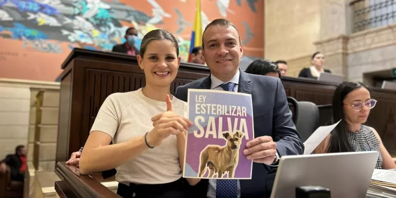 Aprueban en el Congreso programa nacional de esterilización de perros y gatos (Andrea Padilla)