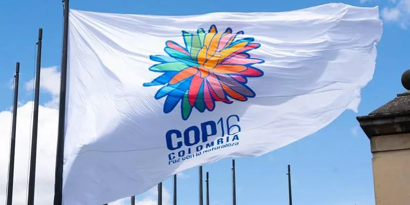 Establecen beneficios tributarios para facilitar y promover realización de la COP16 (Minambiente)