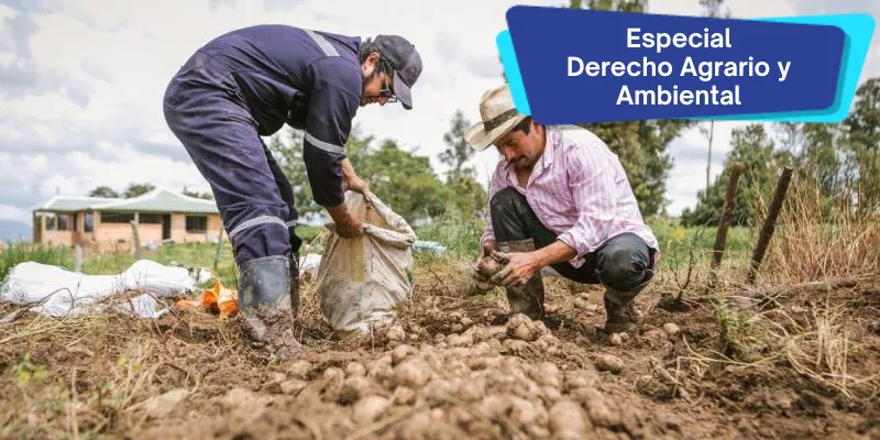 Interpretaciones alrededor del derecho agrícola y el derecho agrario