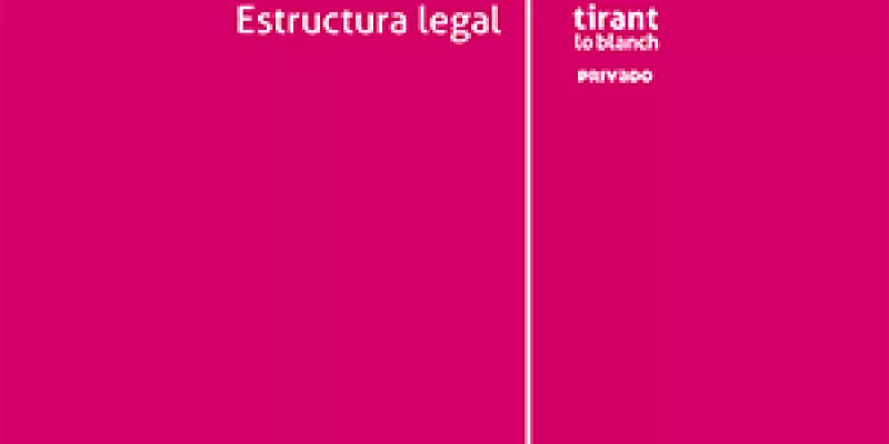 proceso-ejevutivo-estructura-2.jpg