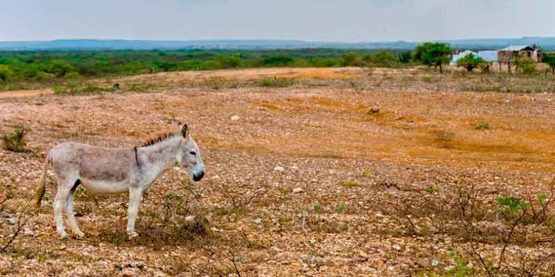 tierra-finca-baldioshutterstock.jpg