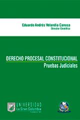 derecho-procesal-constitucional2.jpg