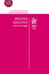 proceso-ejevutivo-estructura-2.jpg